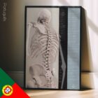 Wirbelsäulenbewegung und kontrollierte Physiologie. Bildungsdesign im Gesundheitswesen von educare.design