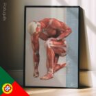 Diagrama Anatómico de Lesões e Distúrbios Musculoesqueléticos Comuns diagrama anatómico para clínicas e consultórios