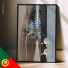 Sciatica and stenosis artwork from educare.design