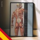 Fibromialgia; Puntos Sensibles y Síntomas