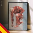 Lesiones y Trastornos Musculoesqueléticos Comunes lámina anatómica para clínicas y consultas
