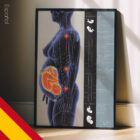 Embarazo y Cambios Posturales