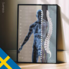 Autonoma Nervsystemet anatomidiagram för kliniker
