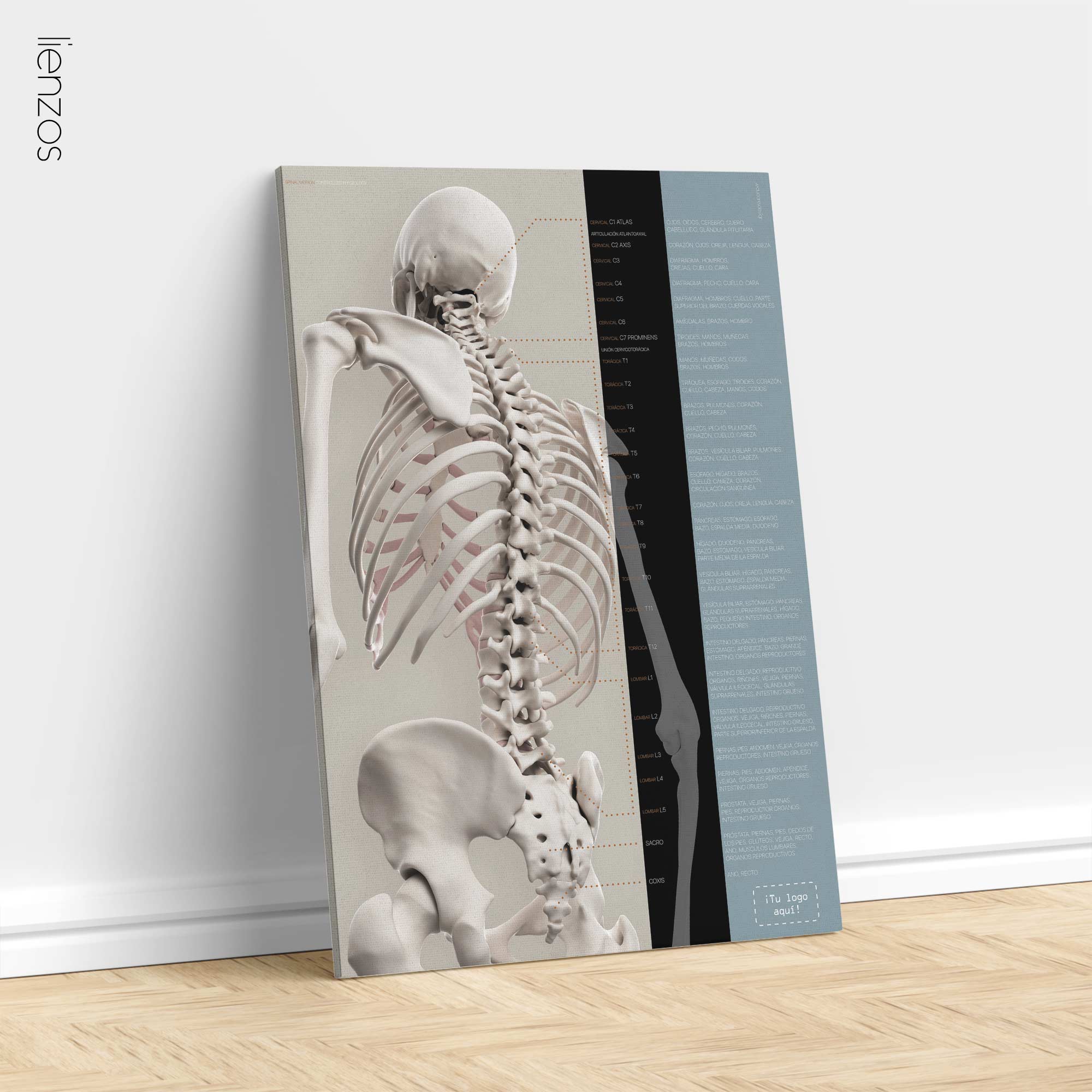 Spinal Motion and controlled physiology. Educational healthcare design from educare.design