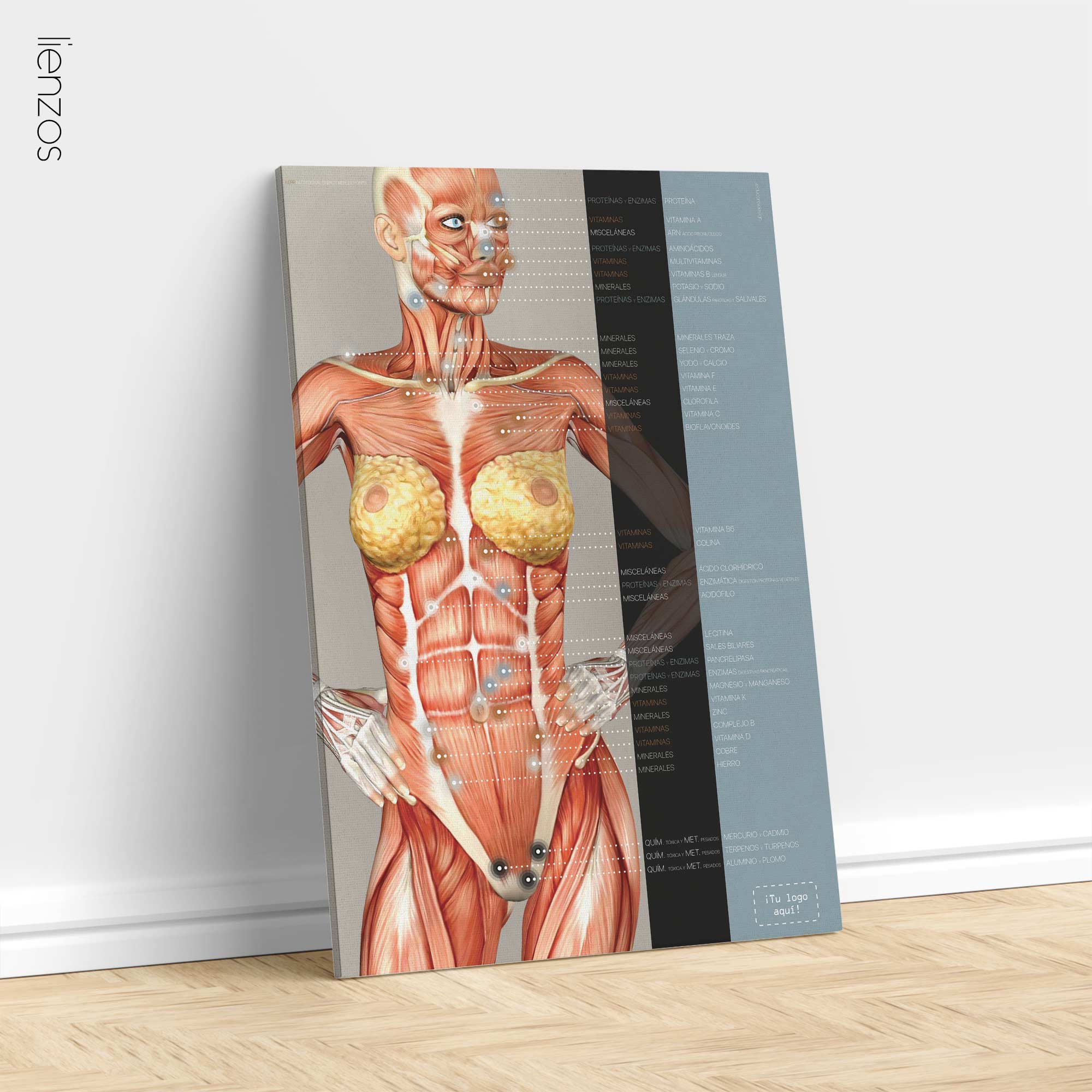 Nutritional Energy Reflex Points. Anatomy and physiology artwork from educare.design