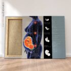 Schwangerschaft und Haltungsveränderungen