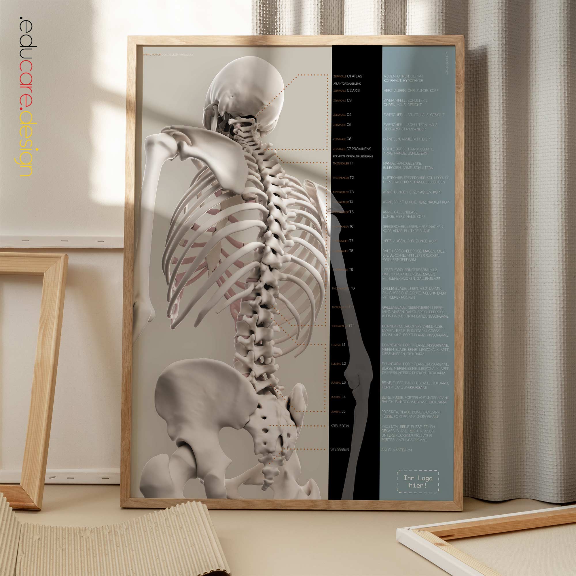 Spinal Motion and controlled physiology. Educational healthcare design from educare.design