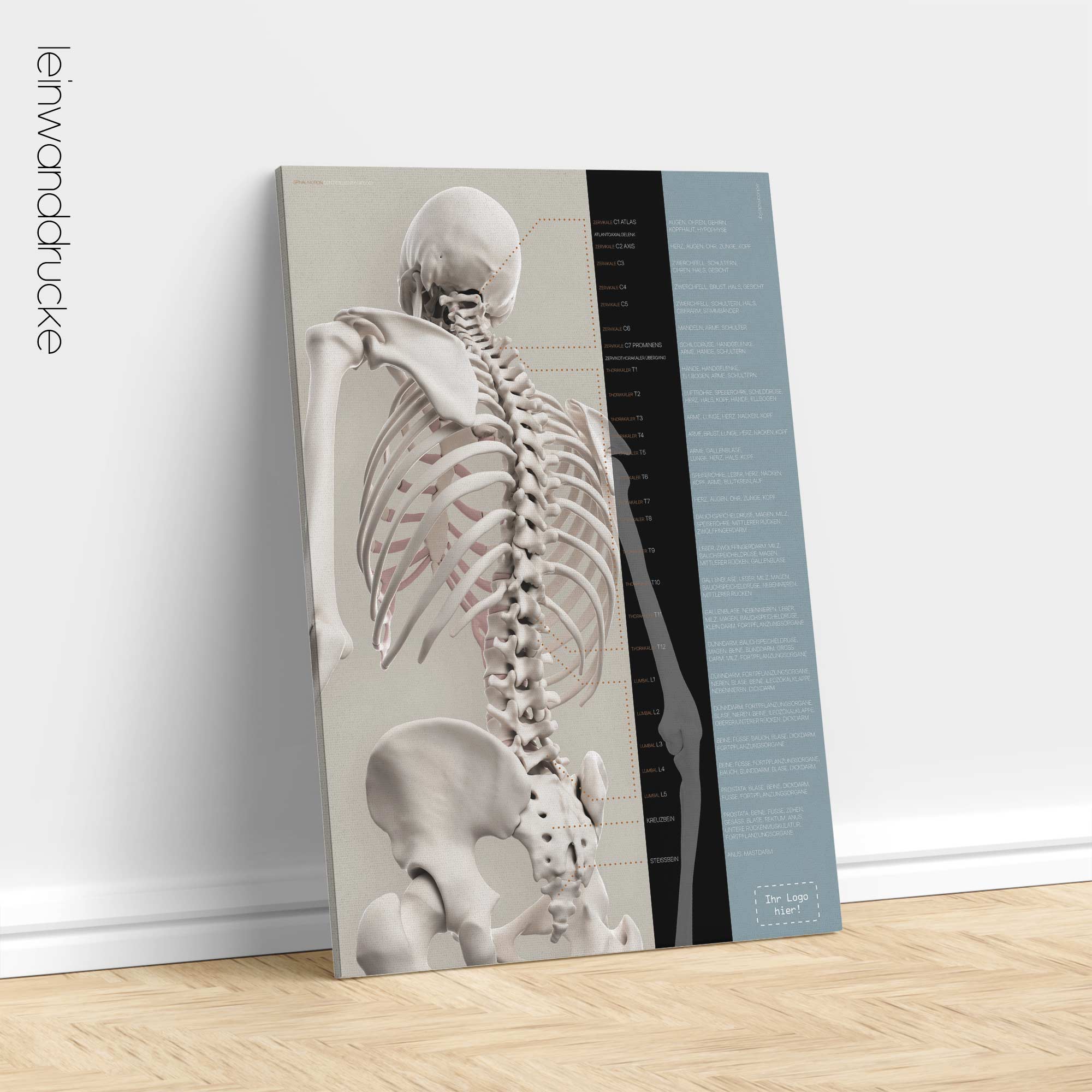 Spinal Motion and controlled physiology. Educational healthcare design from educare.design