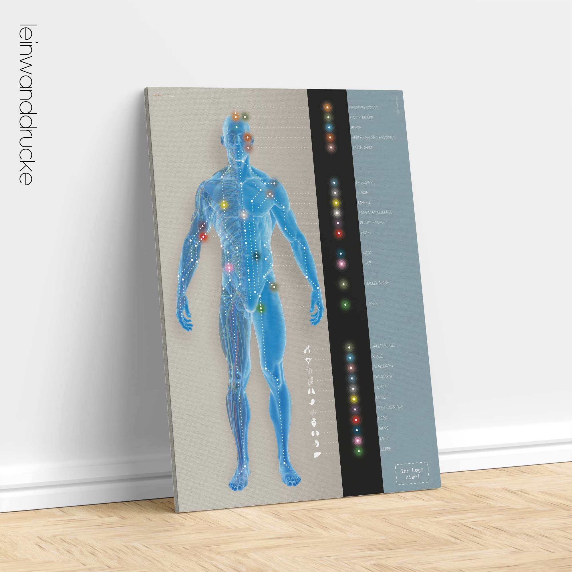 Meridian Channels. Anatomy and physiology artwork from educare.design