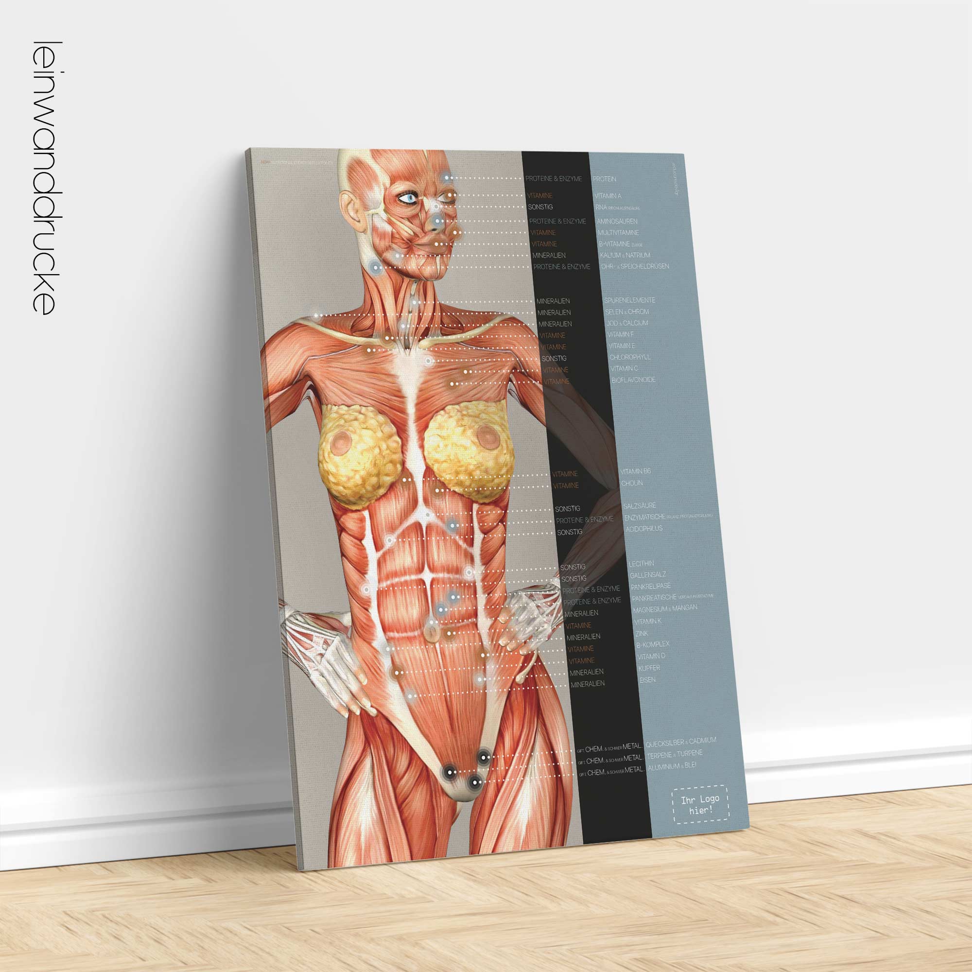 Nutritional Energy Reflex Points. Anatomy and physiology artwork from educare.design