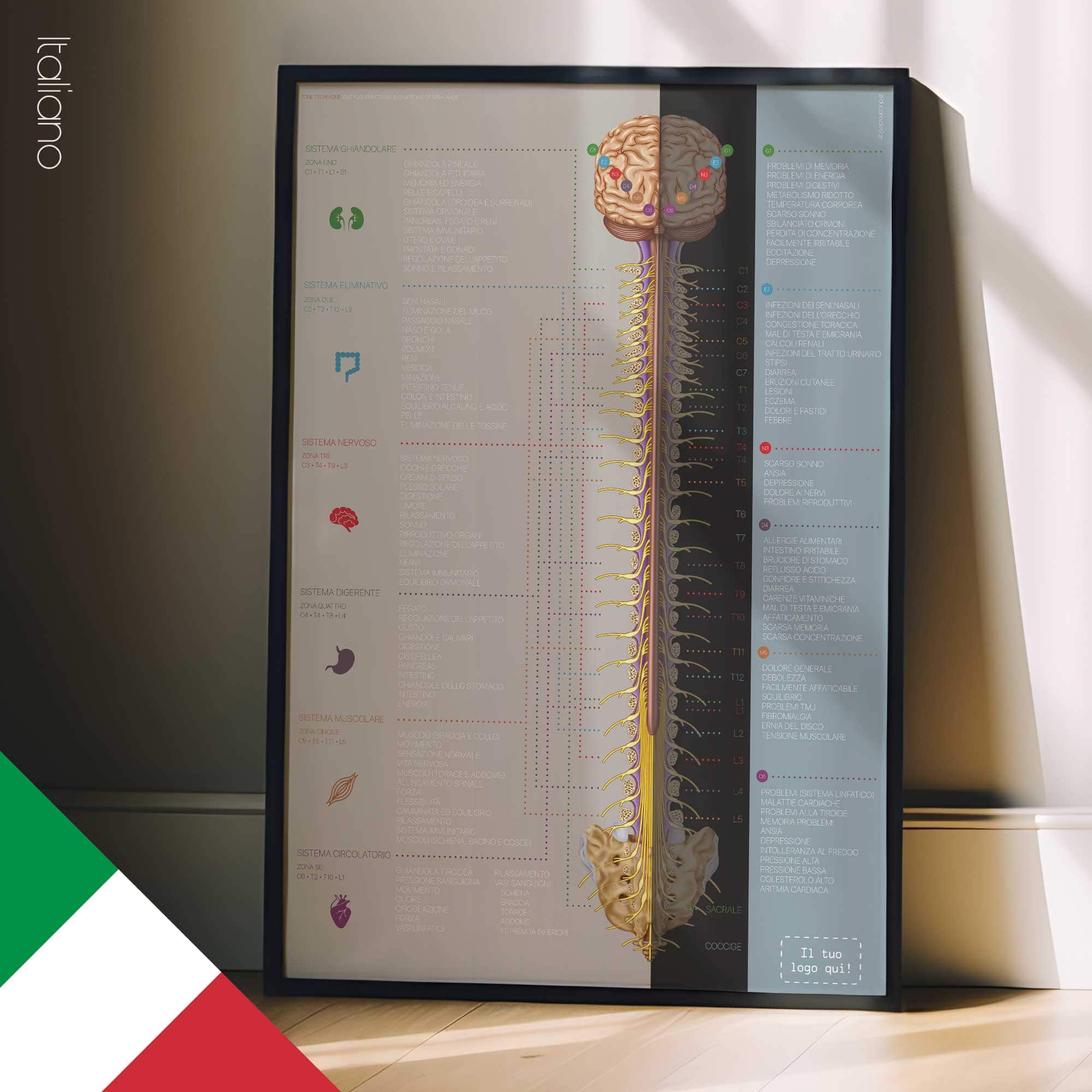 Tecnica di Zona (Zone Technique)