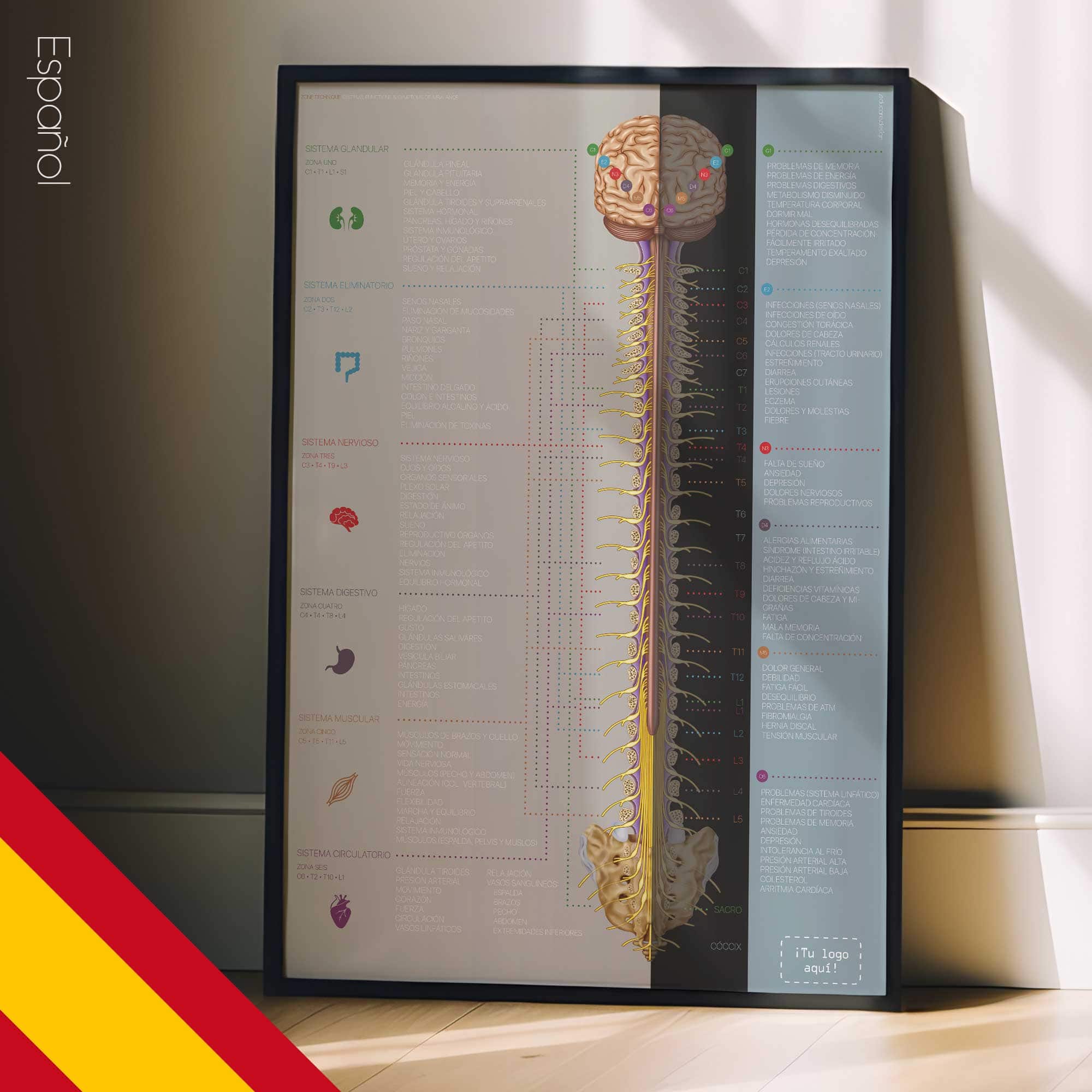 Técnica de Zona (Zone Technique)