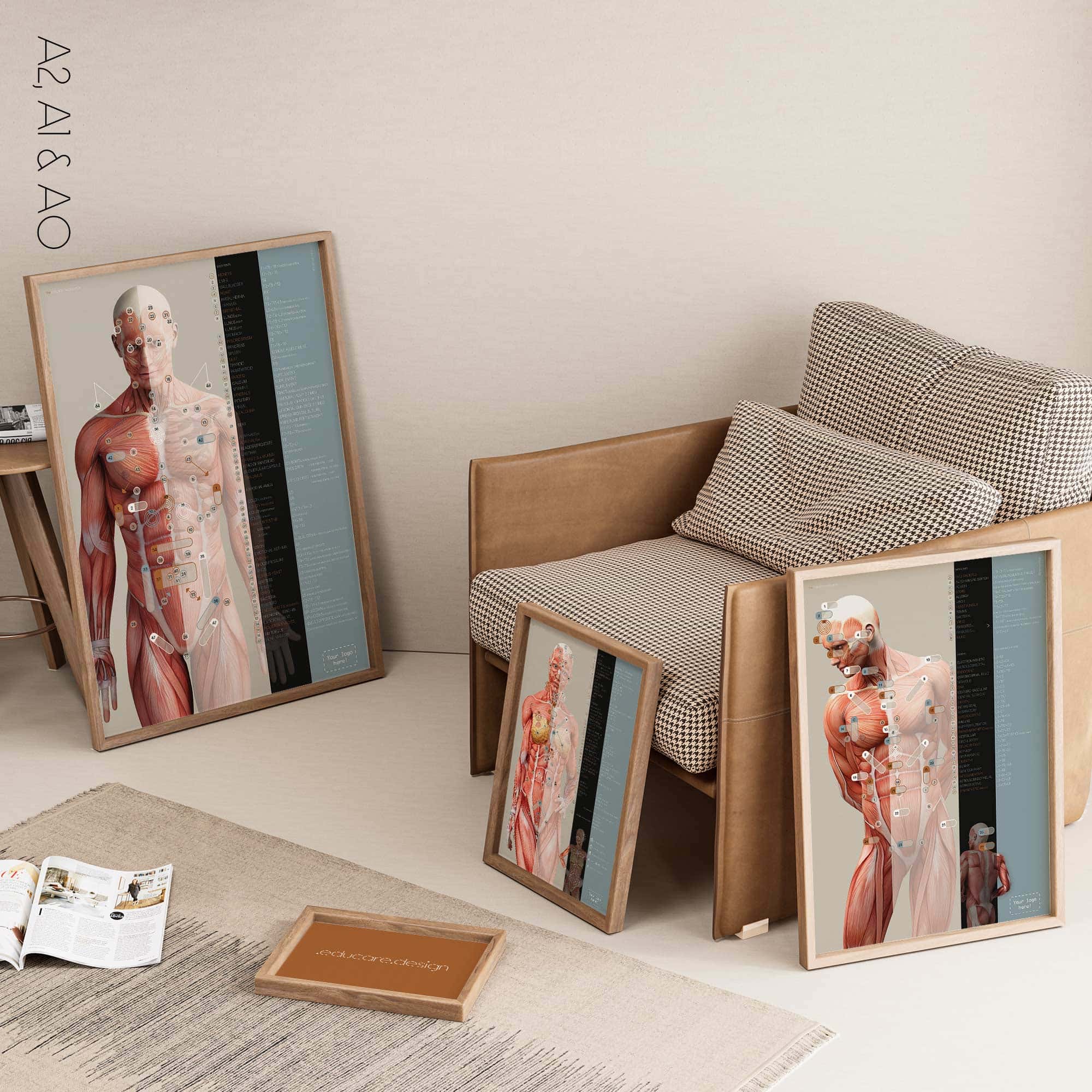 TBM Total Body Modification