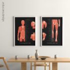 Myofascial Trigger Points Anatomy Chart, Black Edition