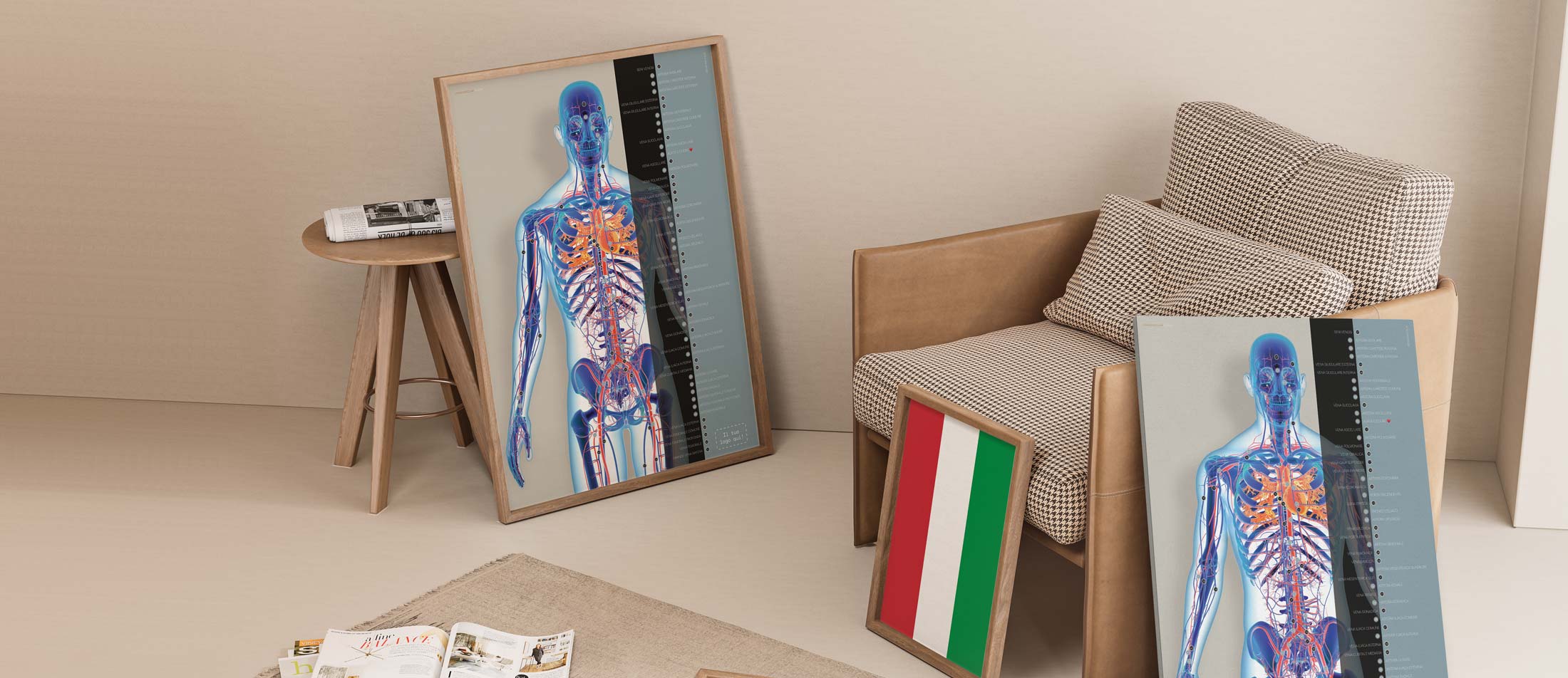 Sistema Cardiovascolare