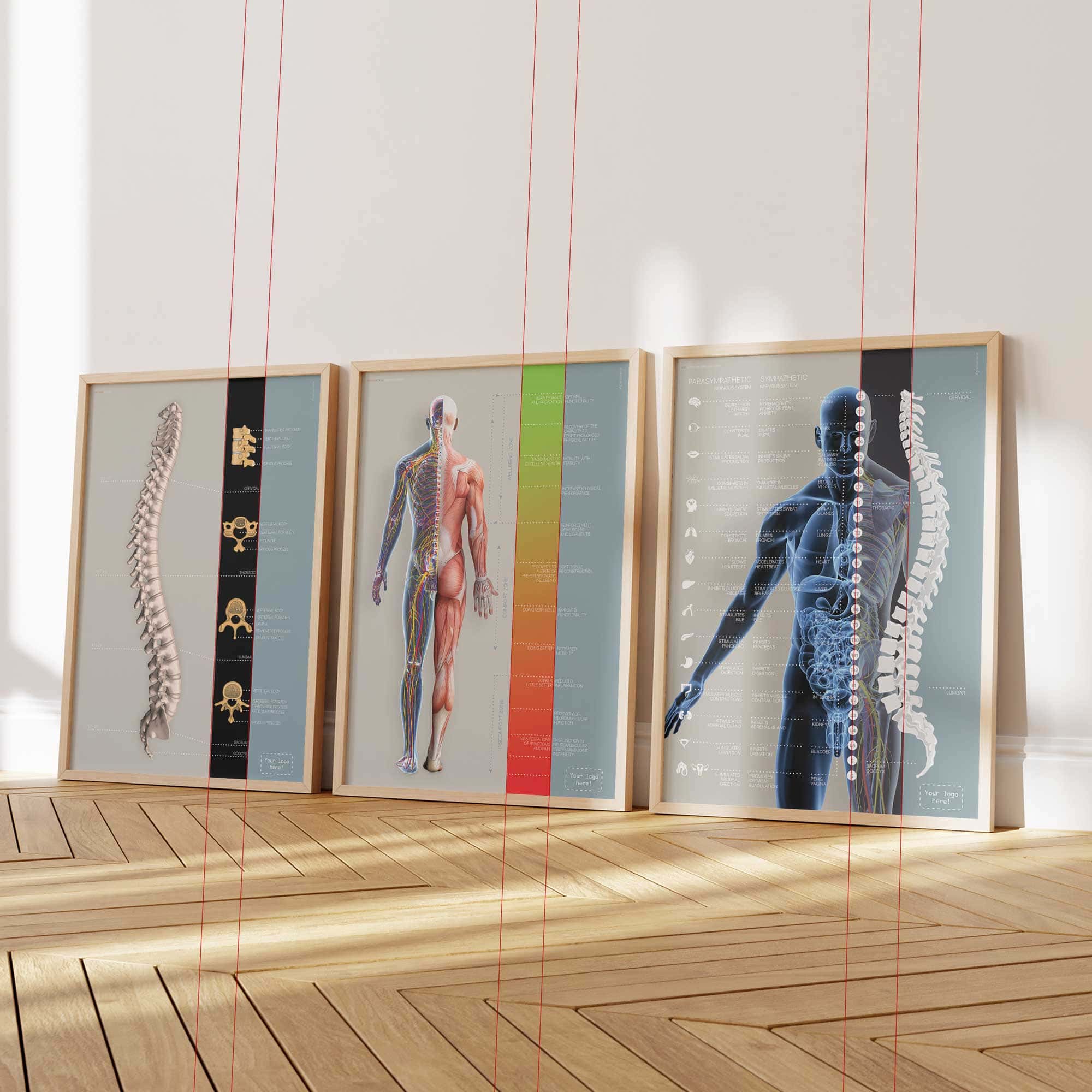 Reflexology Chart Face and Tongue