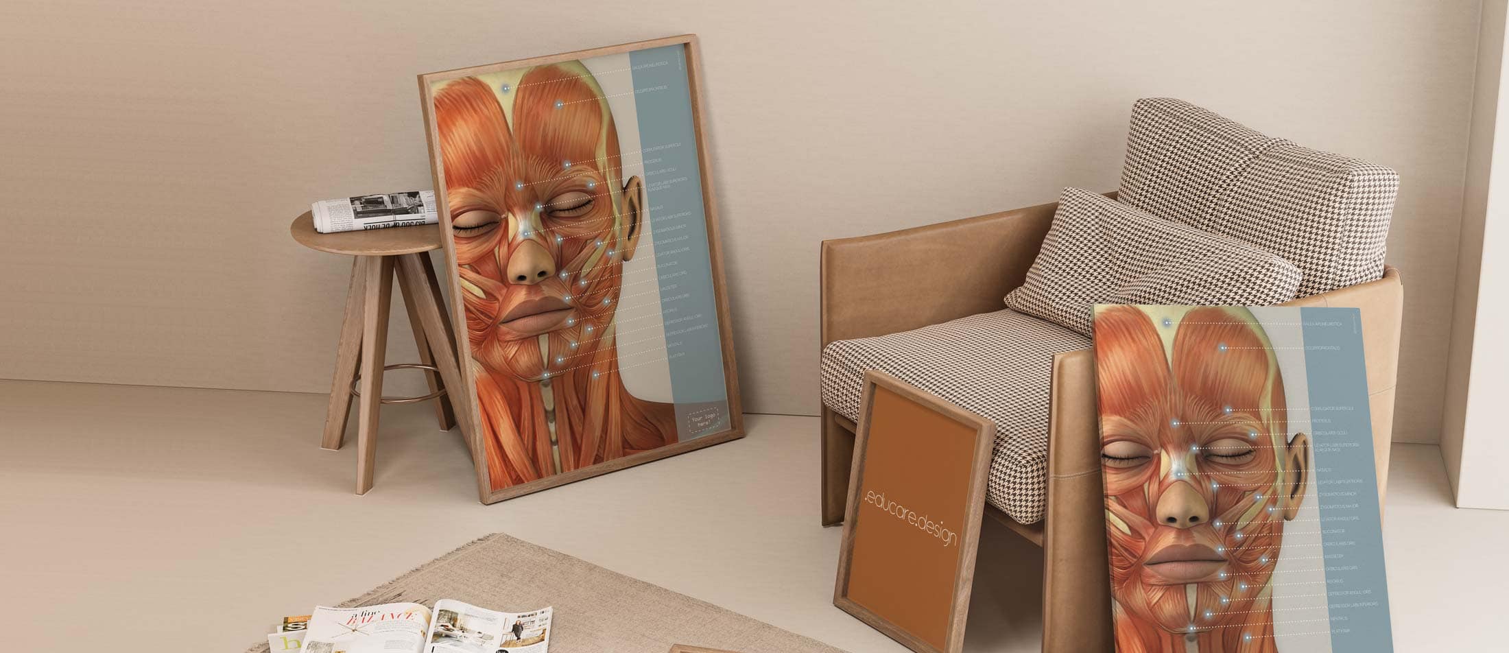 Músculos craneofaciales. Obras de arte de anatomía y fisiología de educare.design