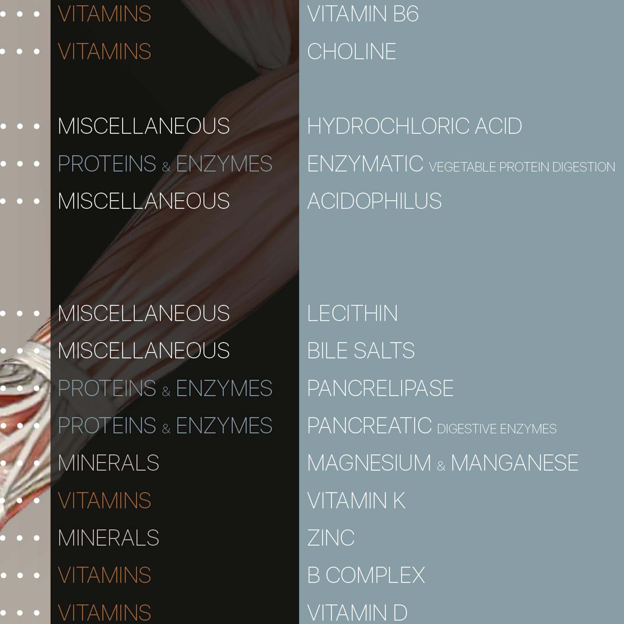 Nutritional Energy Reflex Points (NERP)