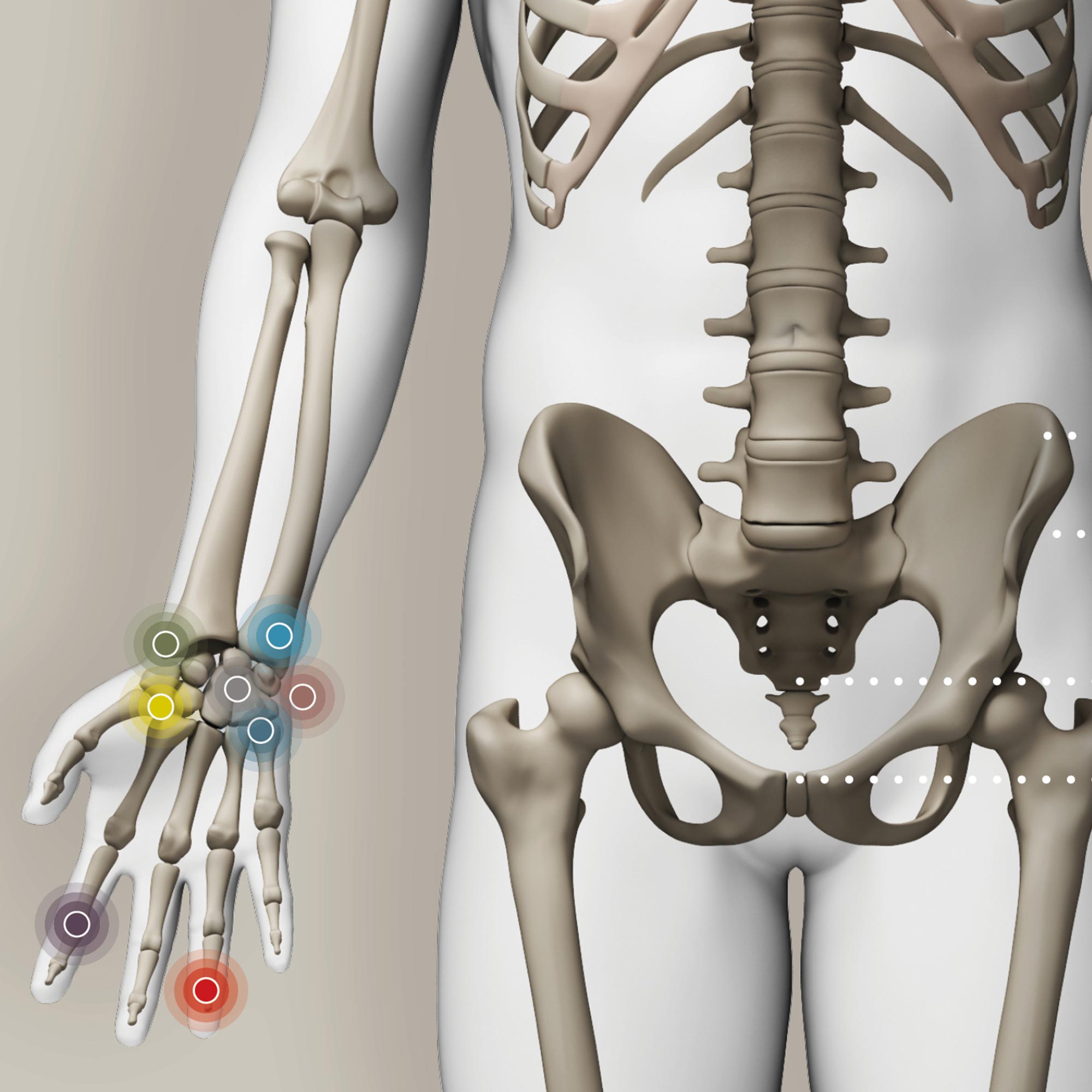 Kinesiology Muscle Testing