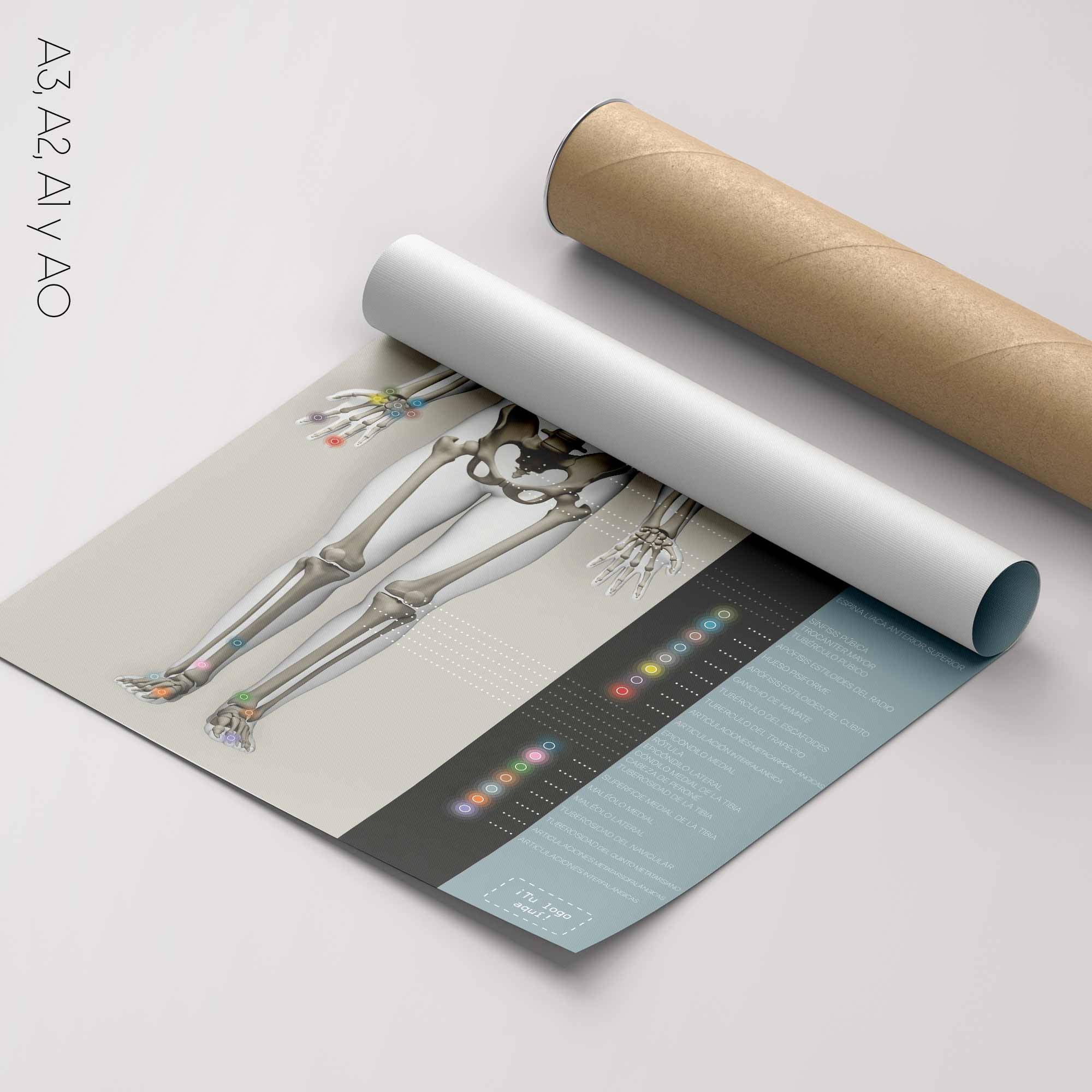 Common Musculoskeletal Injuries and Disorders