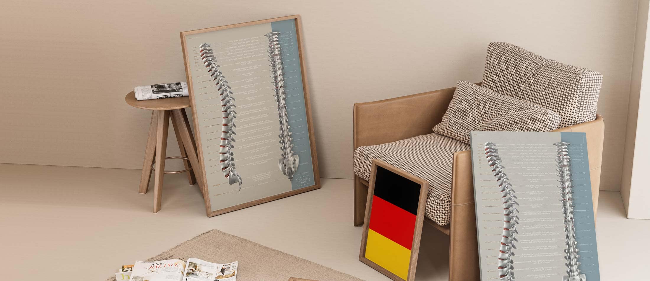 Funktion der Spinalnerven