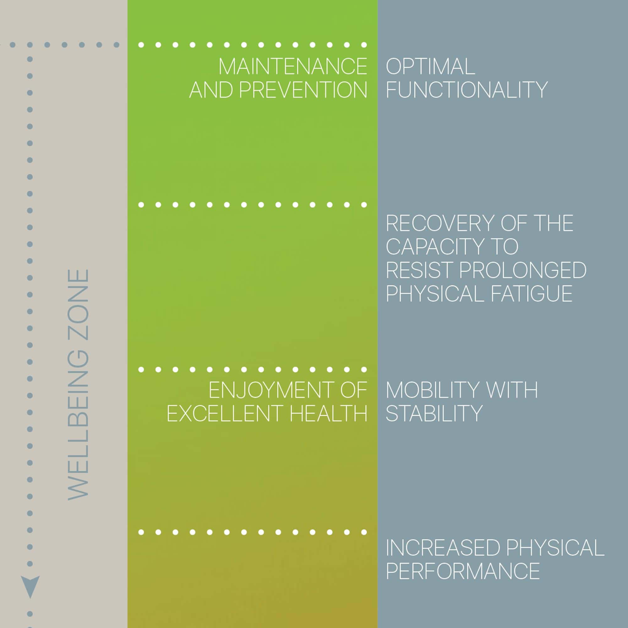 Treatment Plan (Road-to-Recovery)