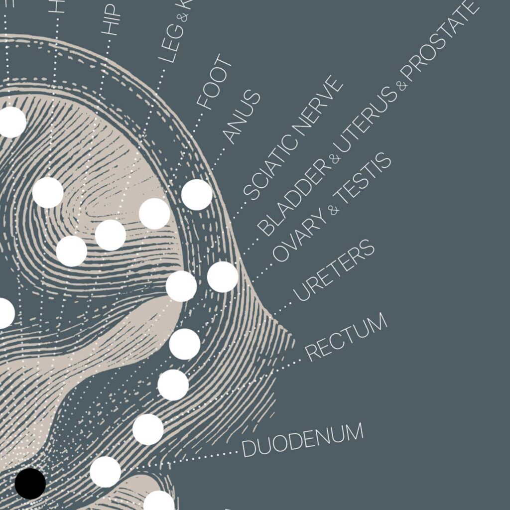 Vintage Reflexology Chart Ear » educare.design