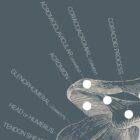 Opere d'arte di anatomia d'epoca da www.educare.design