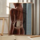 Spinal Subluxation Effects anatomy chart for clinics