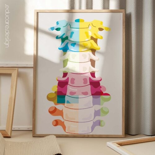 Anatomia cervicale Pop Art da www.educare.design