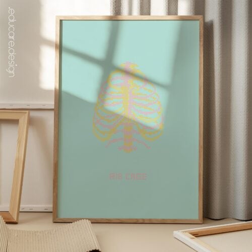 Gabbia toracica Pop Art per studi medici