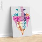 Spinal Pop Set anatomy chart for clinics