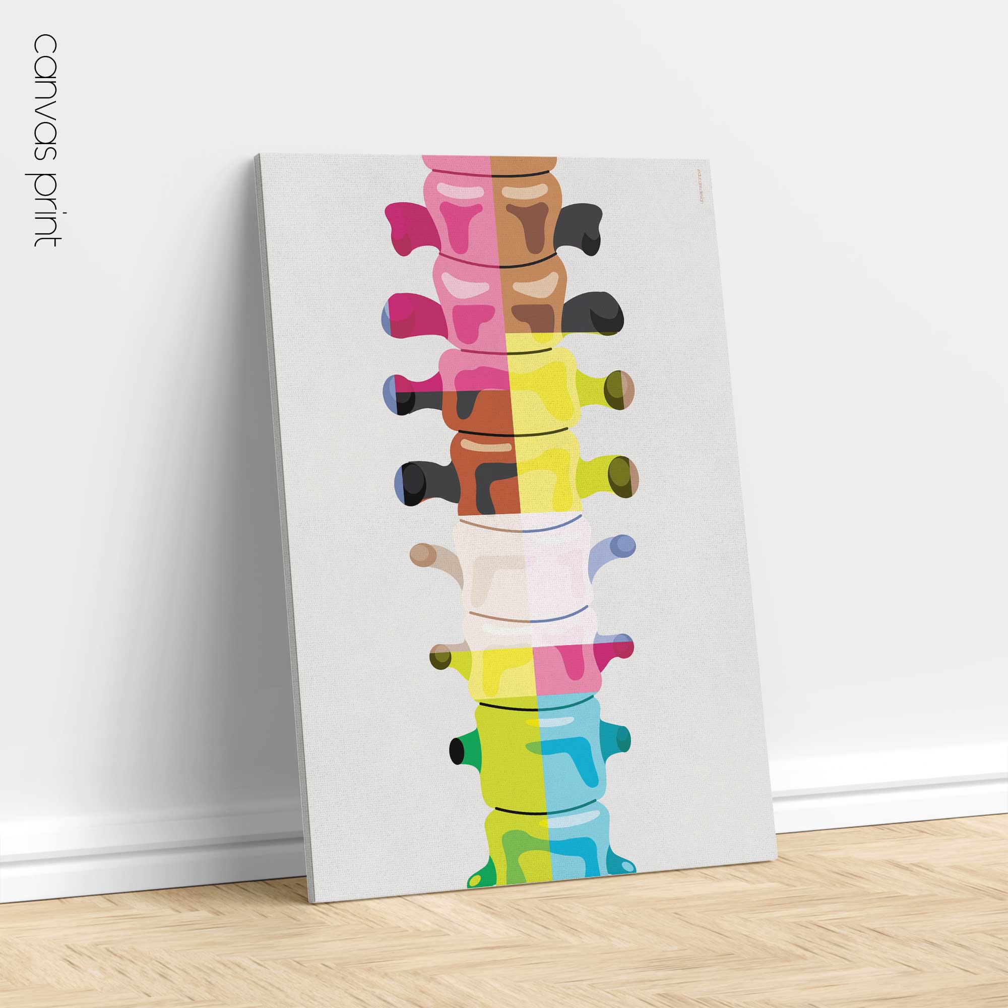 Anatomia toraco-lombare Pop Art da www.educare.design