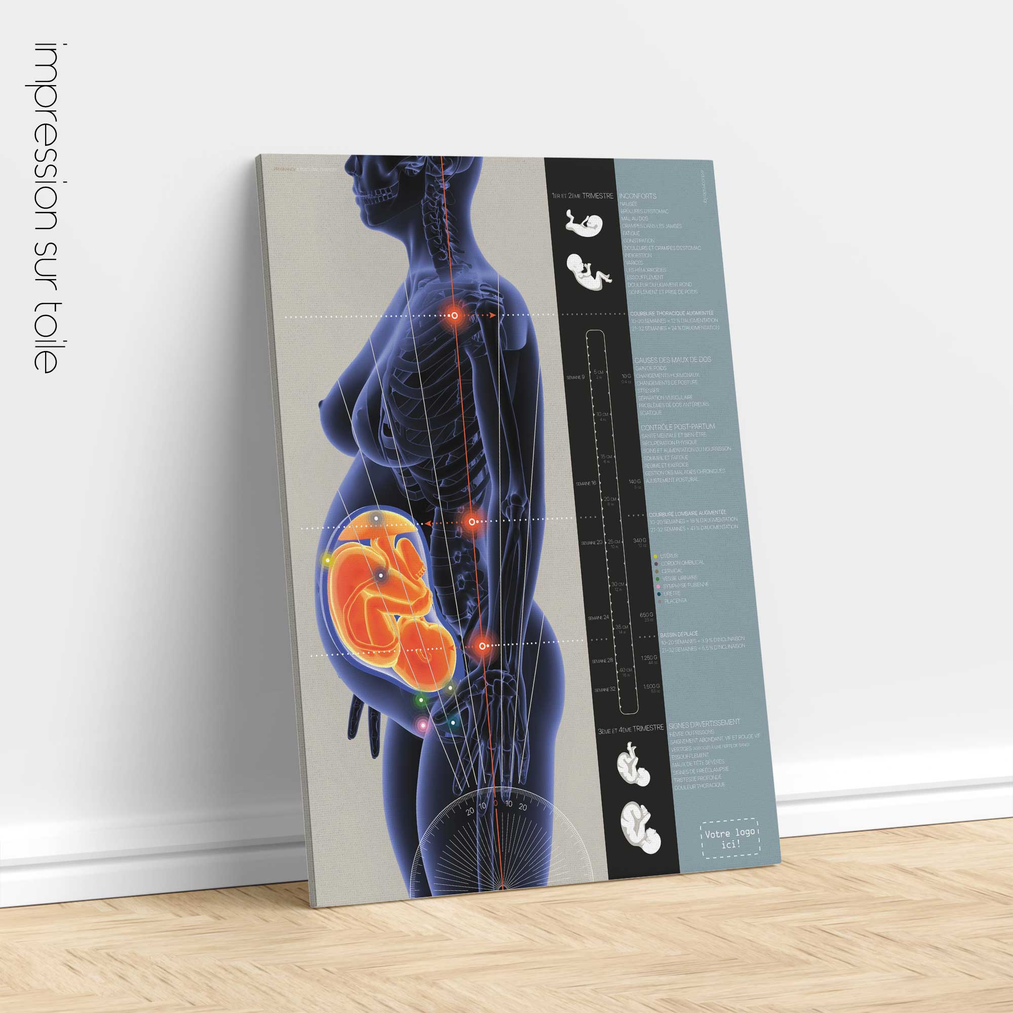 Grossesse et Changements Posturaux