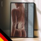 Auswirkungen der Wirbelsubluxation Anatomie-Chart für Praxen und Kliniken