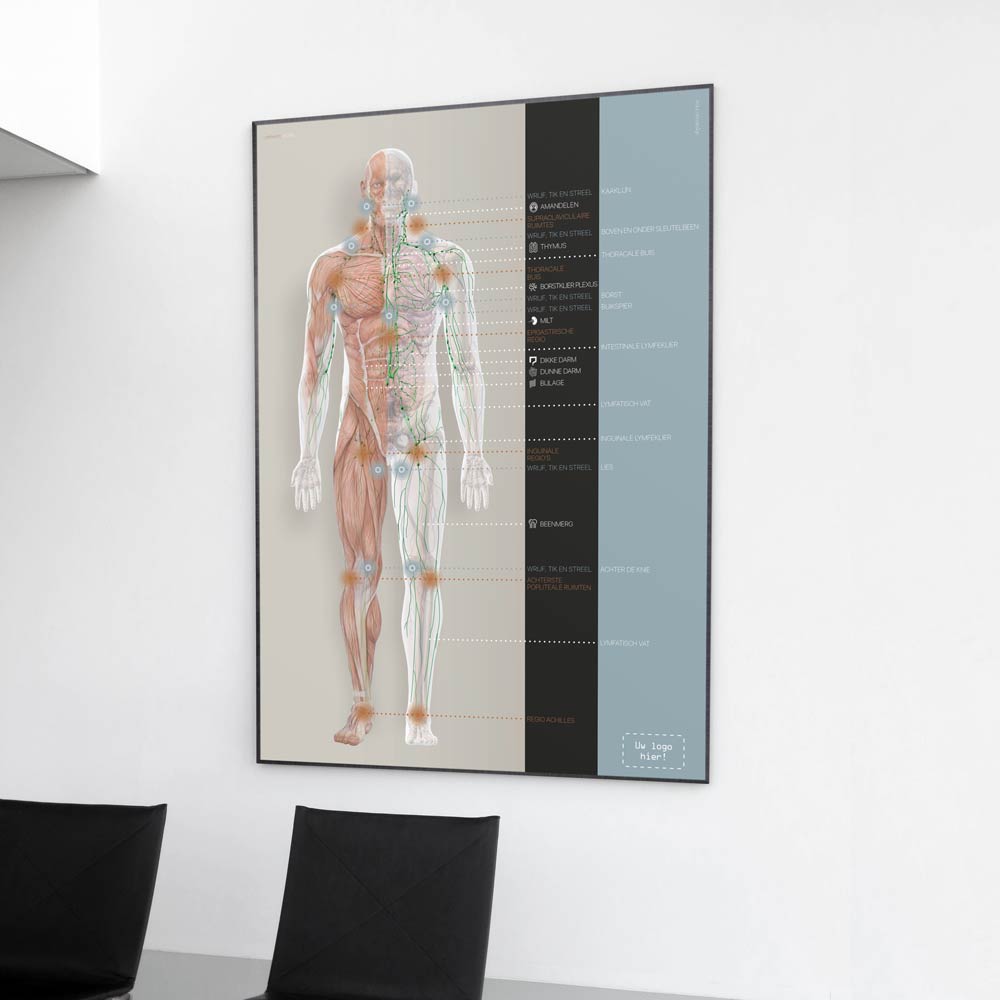 Cardiovascular System with Heart Structure and Blood Flow