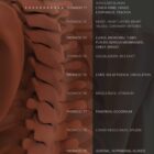 Spinal Subluxation Effects anatomy chart for clinics