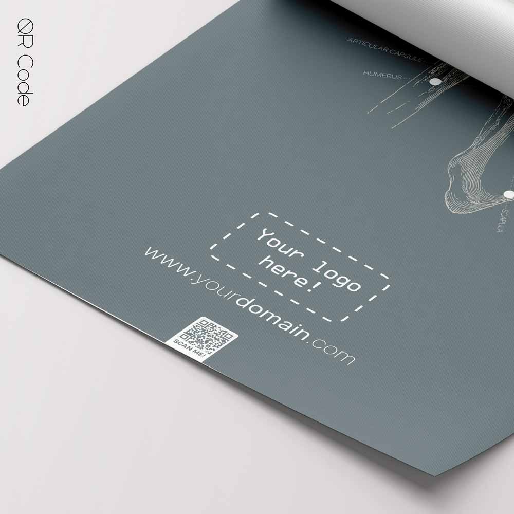 Shoulder Anatomy, Frontal — Tavola anatomica