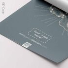 Cranial Bones, lateral — Anatomy Chart