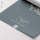 Pelvis Anatomy, Female — Planche anatomique