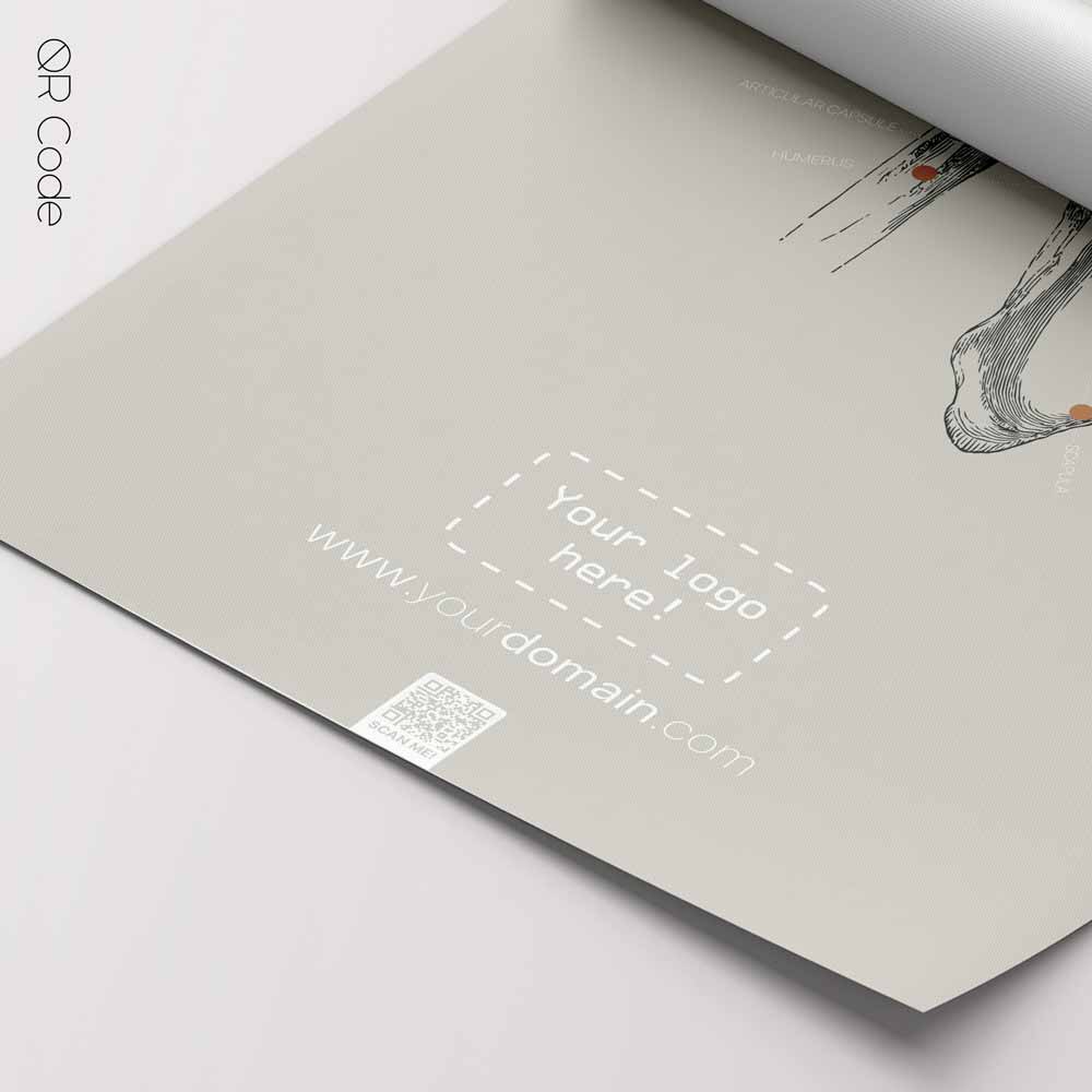 Shoulder Anatomy, Frontal — Tavola anatomica