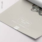 Pelvis Anatomy, Female — Planche anatomique