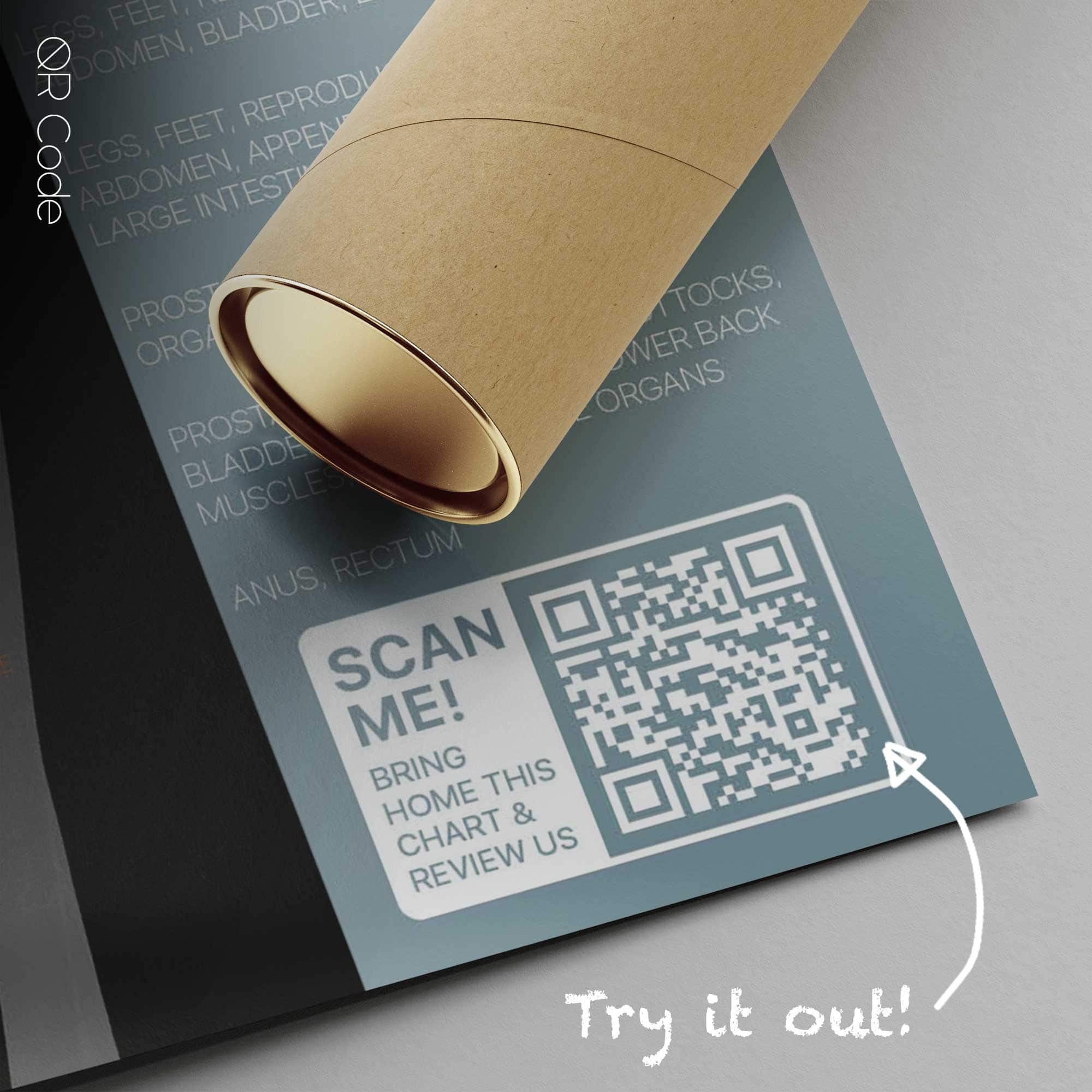 Spinal Motion — Anatomie-Tafel