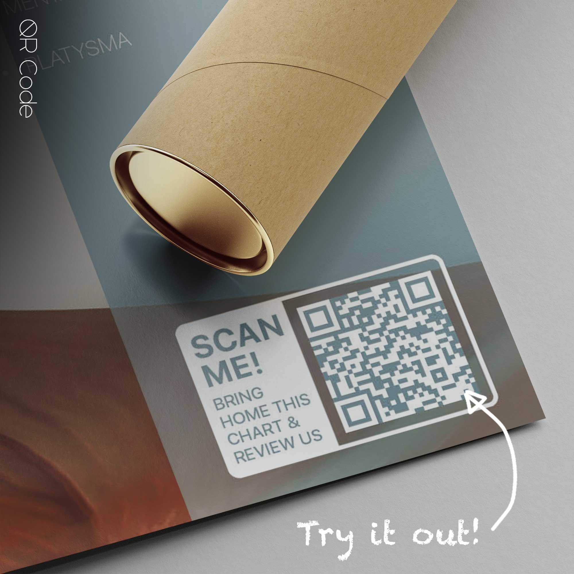 Craniofacial Muscles — Anatomy Chart