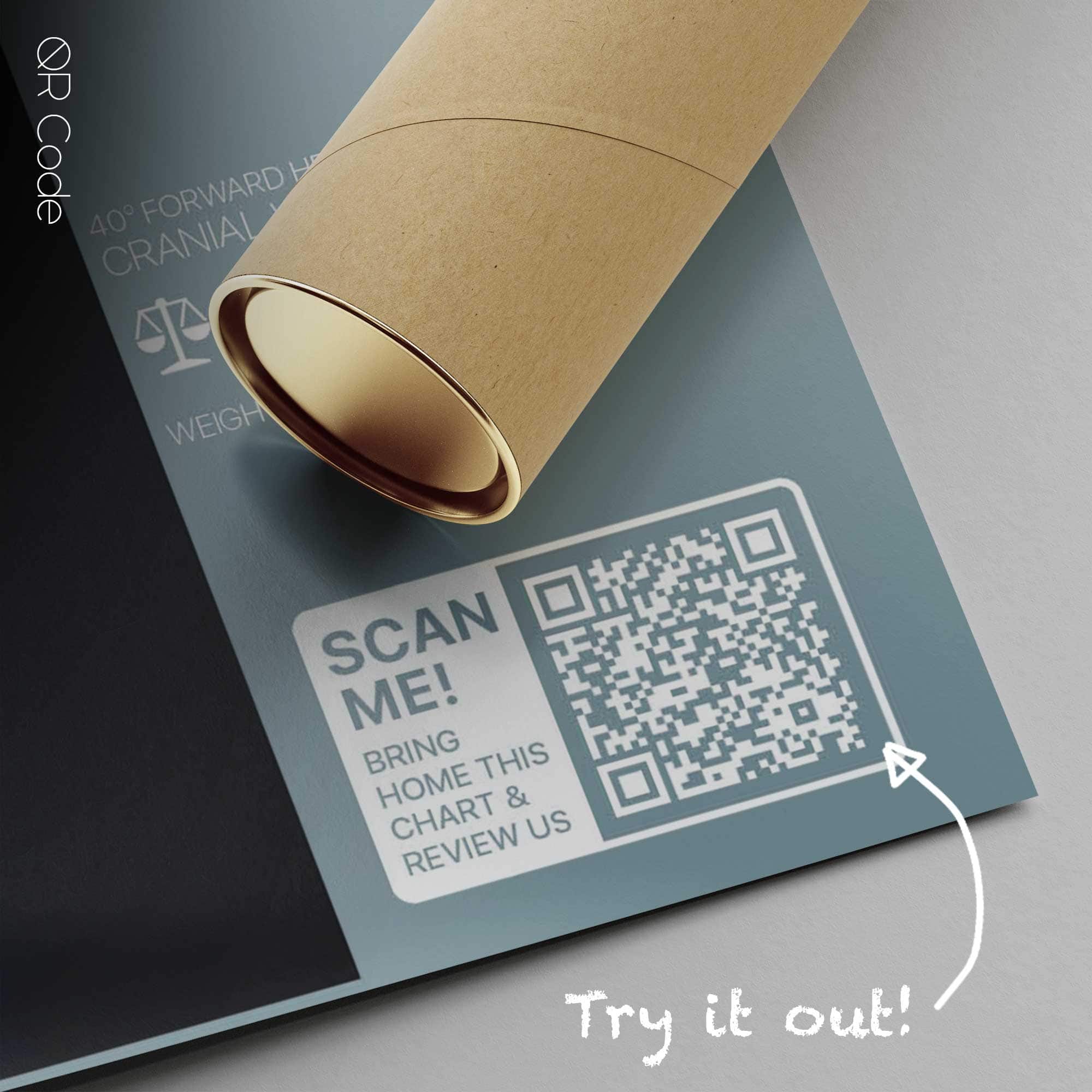 Forward Head Posture and Cranial Weight — Anatomie-Tafel