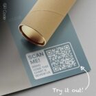 Posterior Muscular System — Anatomy Chart