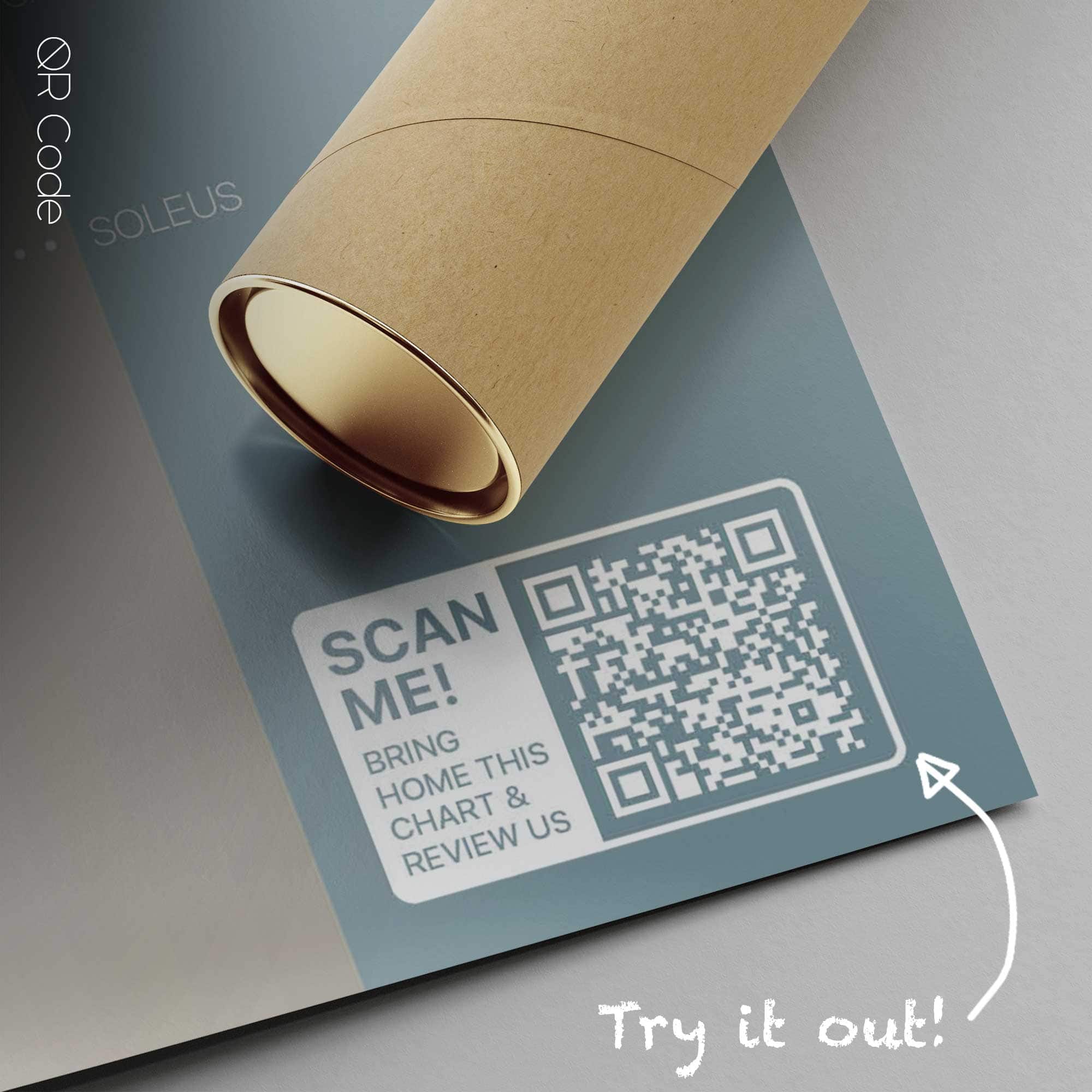 Posterior Muscular System — Anatomy Chart