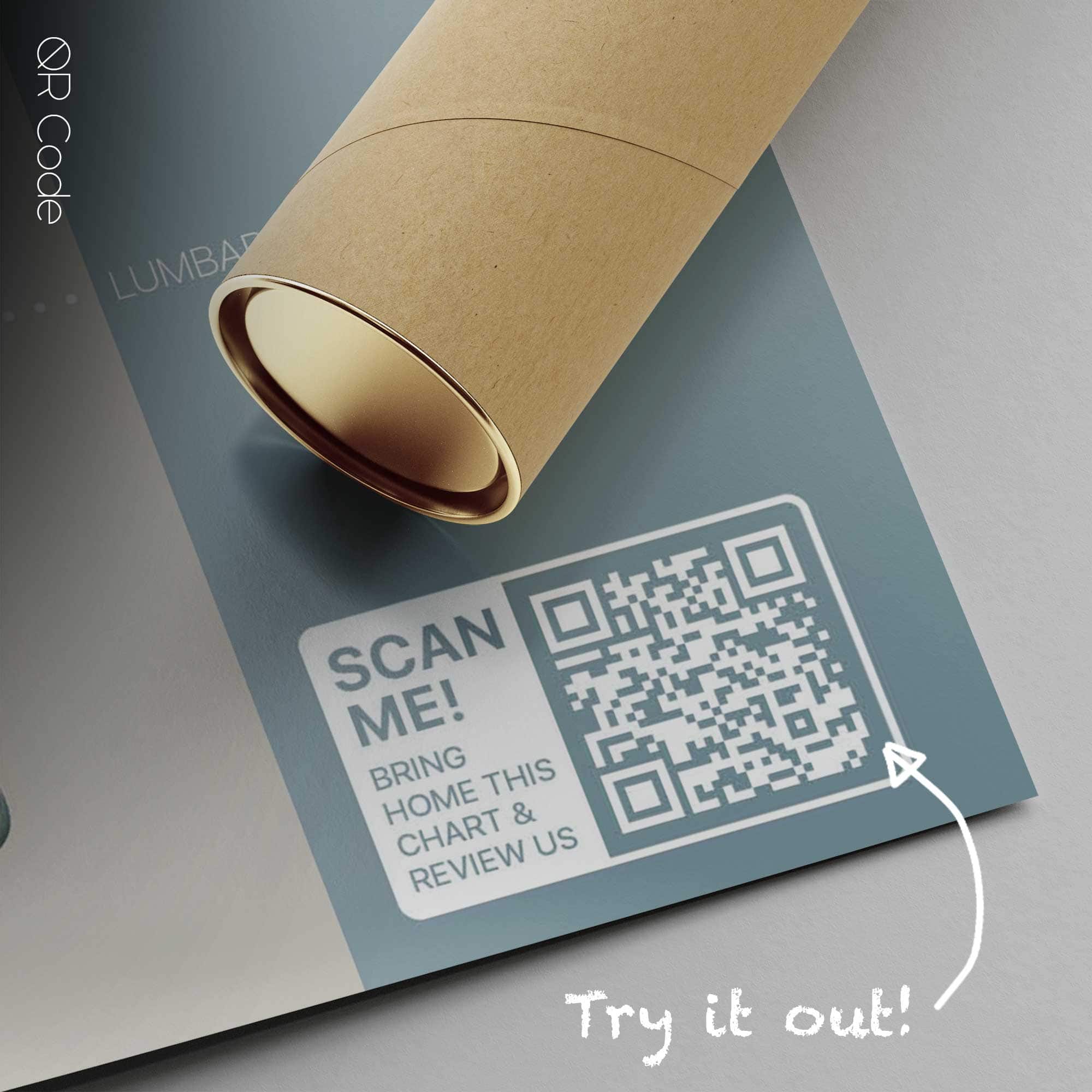 Sclerotomes Pain Map — Anatomy Chart