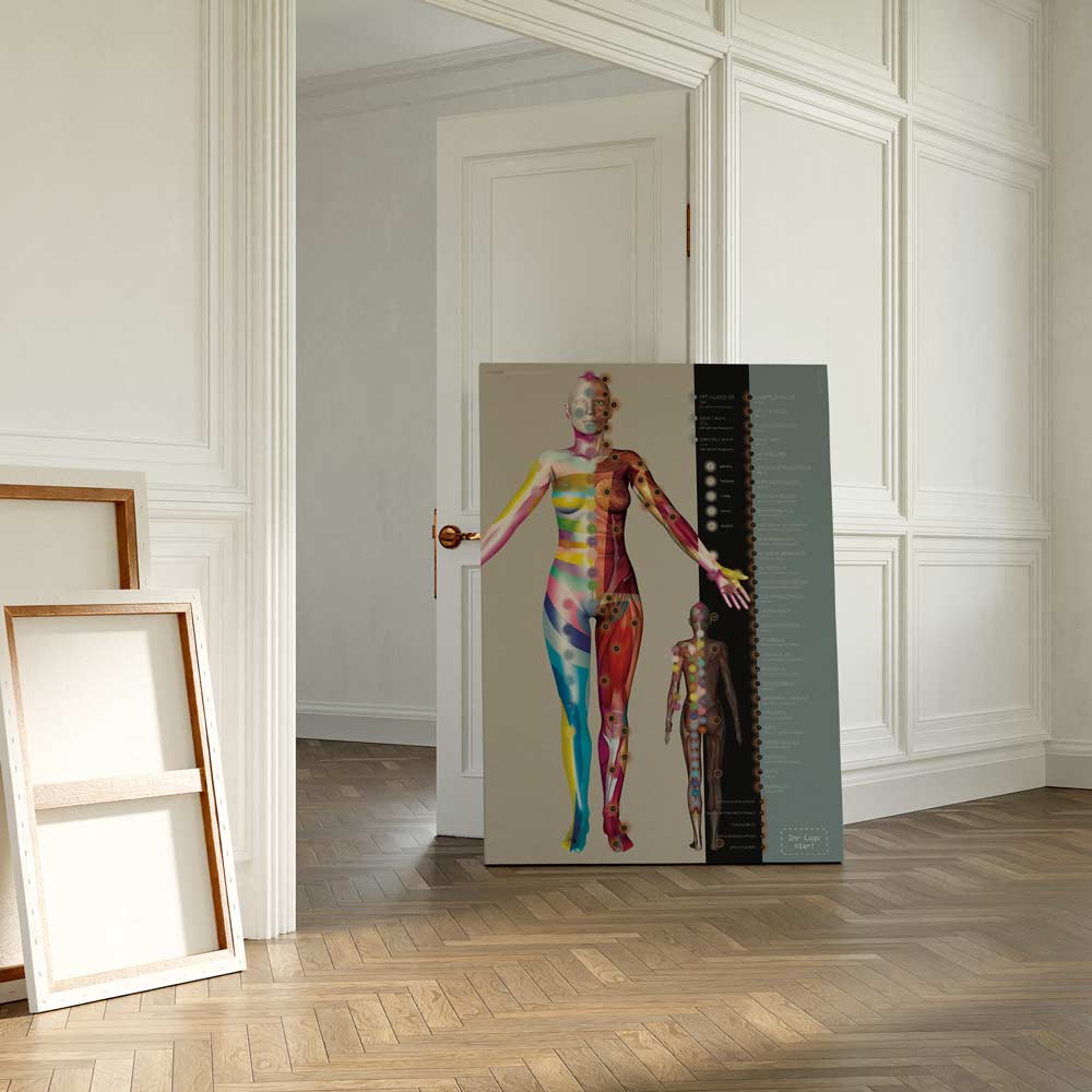 Dermatome und Innervation der Hautnerven