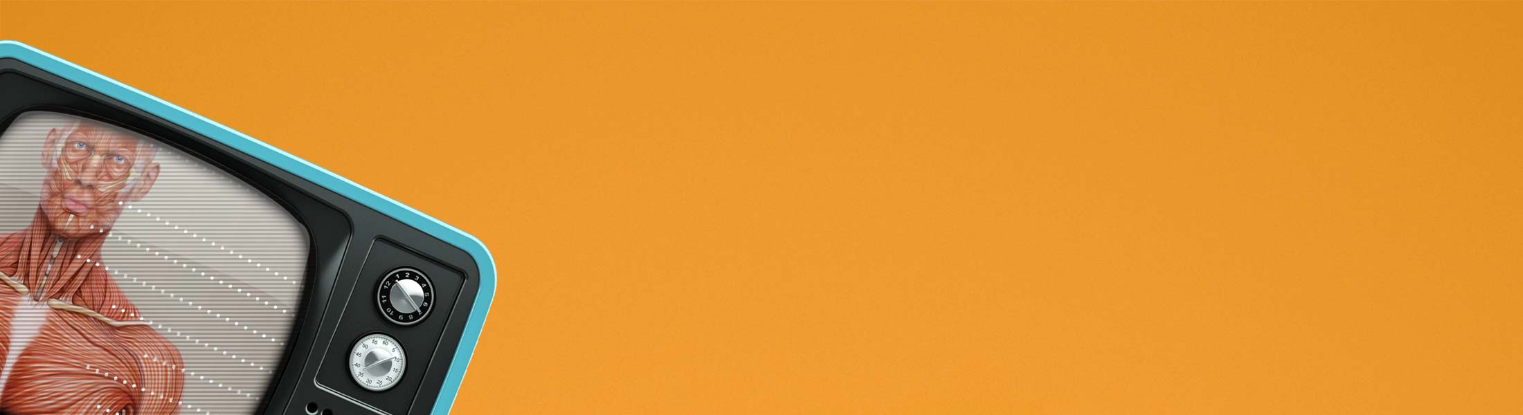 Video of Anterior Muscular System